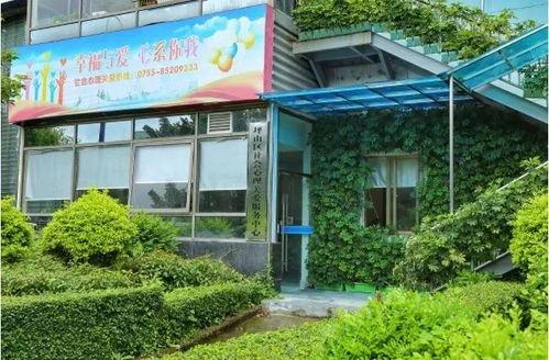 坪山新闻网电视爆料电话,倾听民声,守护公平正义 第3张 坪山新闻网电视爆料电话,倾听民声,守护公平正义 第3张